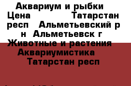 Аквариум и рыбки › Цена ­ 16 000 - Татарстан респ., Альметьевский р-н, Альметьевск г. Животные и растения » Аквариумистика   . Татарстан респ.